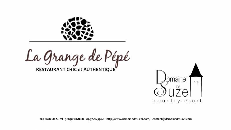 Un cadre prestigieux pour mariages, séminaires, détente, vacances, soirées ou se restaurer VIGNIEU DOMAINE DE SUZEL