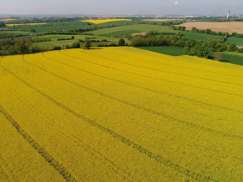 FIlm en drone Meyzieu