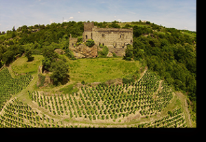 Agriculture, eaux et forêts
